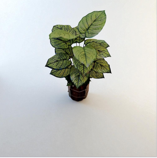 Faux Decorative Plants with Wood Base