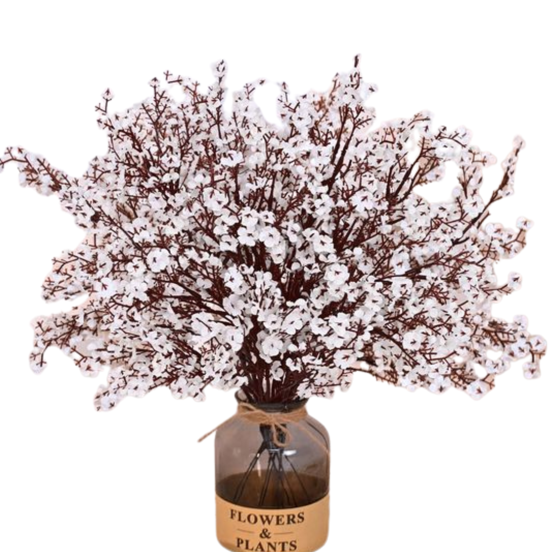 Cherry Blossom - Flower