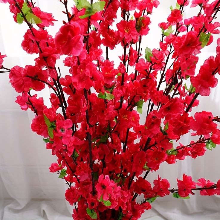 Cherry Blossom - Flower