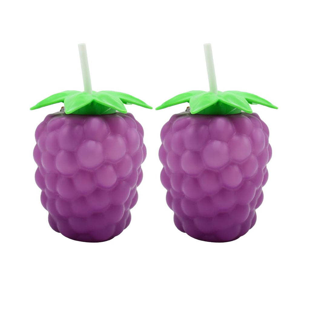 Tropical Fruit Sipper Cup –  Fruit Tumbler