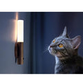 Motion Sensor Night Light with Wood Base