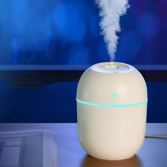 Colorful Egg Humidifier