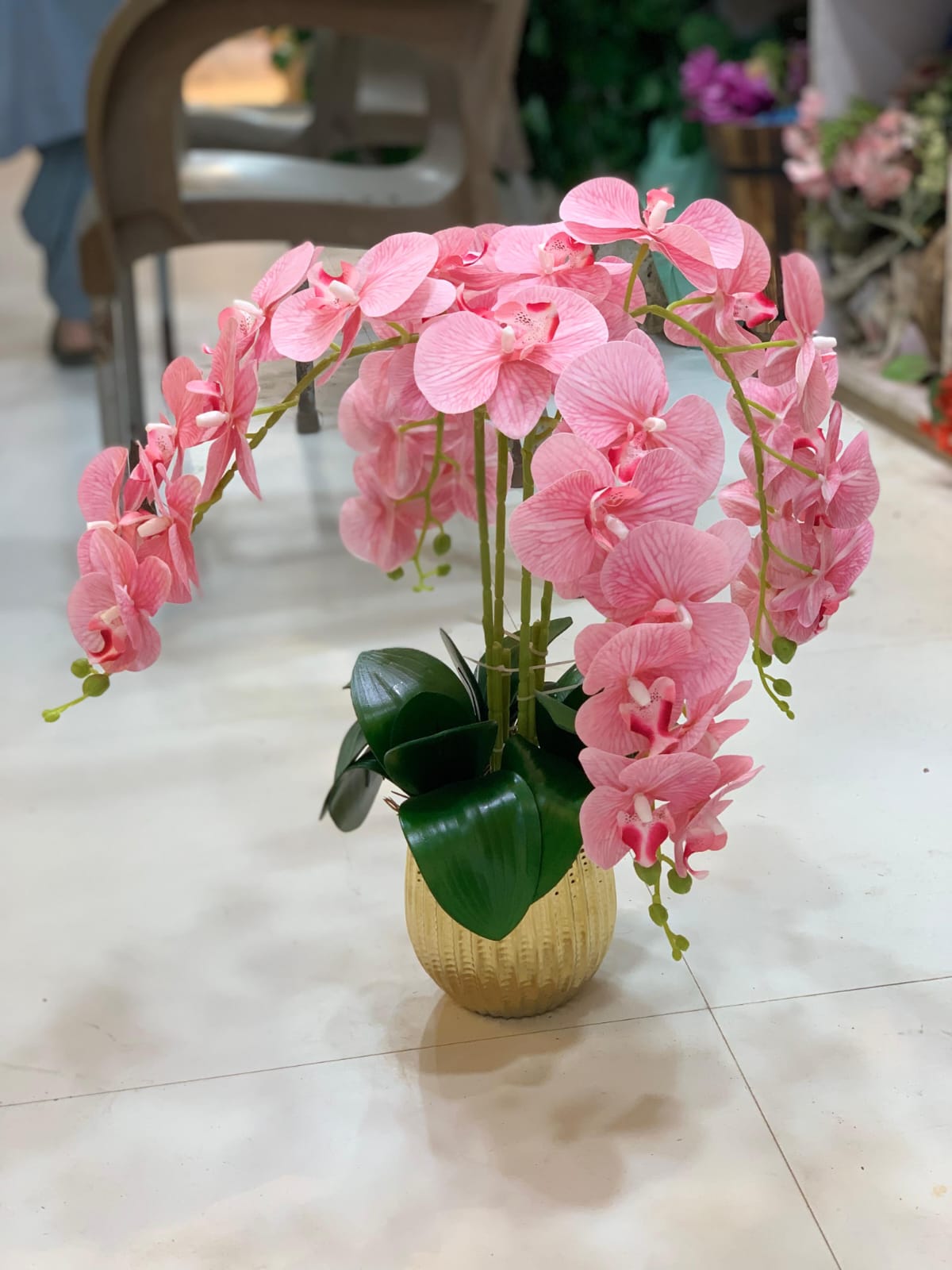 Graceful Orchid with Pot