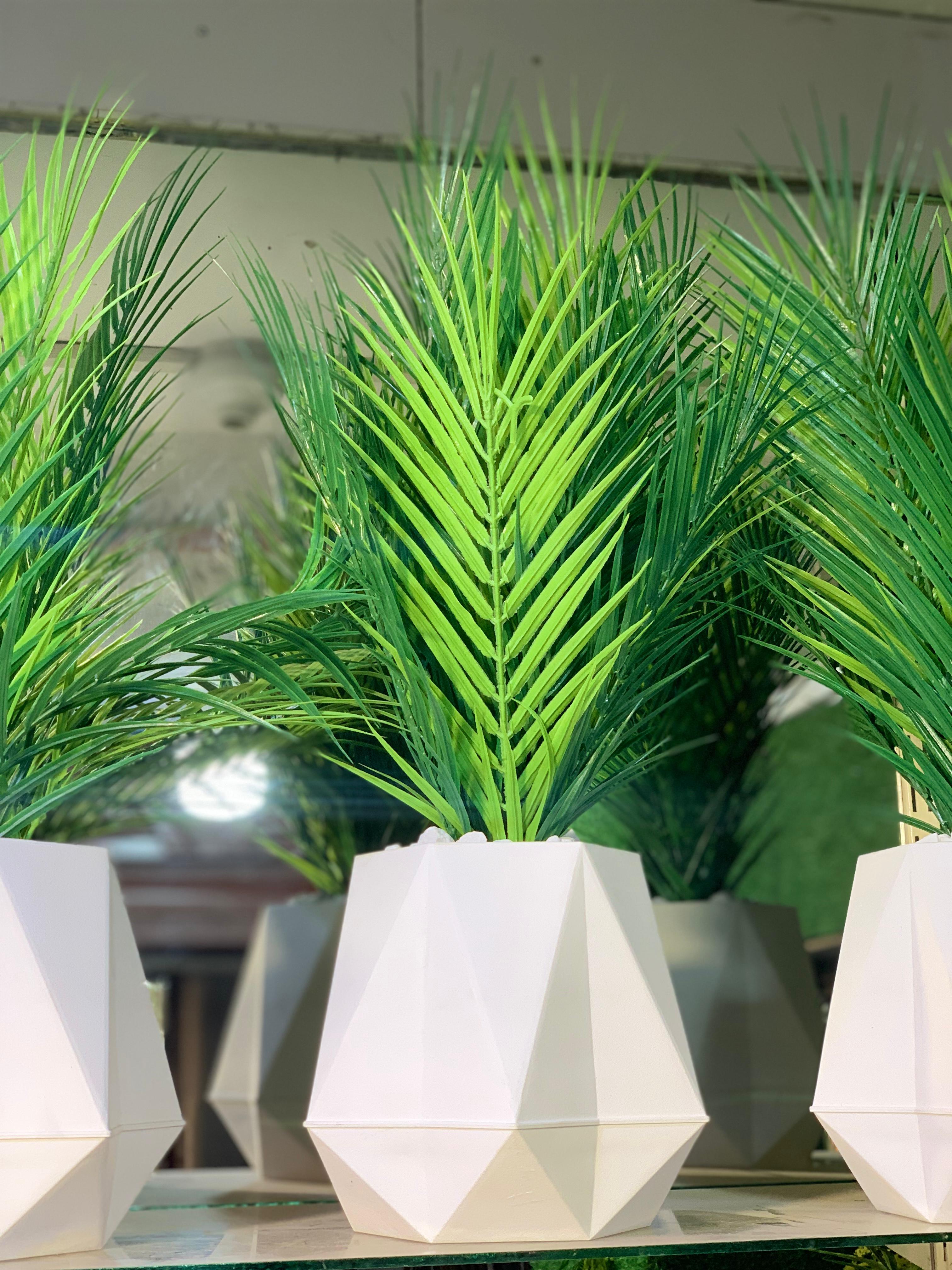 Facet Palm - Planter