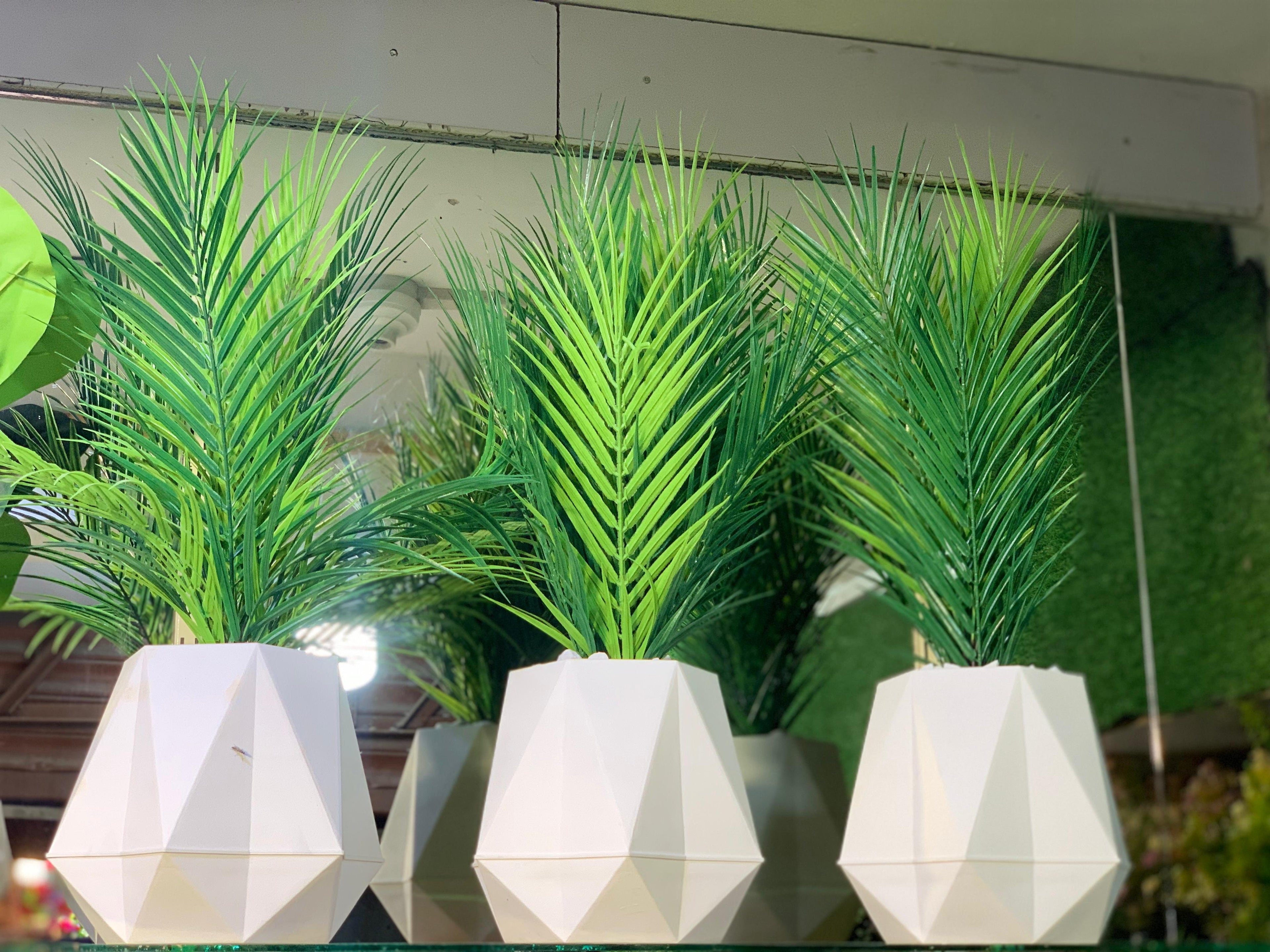 Facet Palm - Planter
