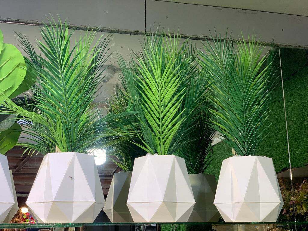 Facet Palm - Planter