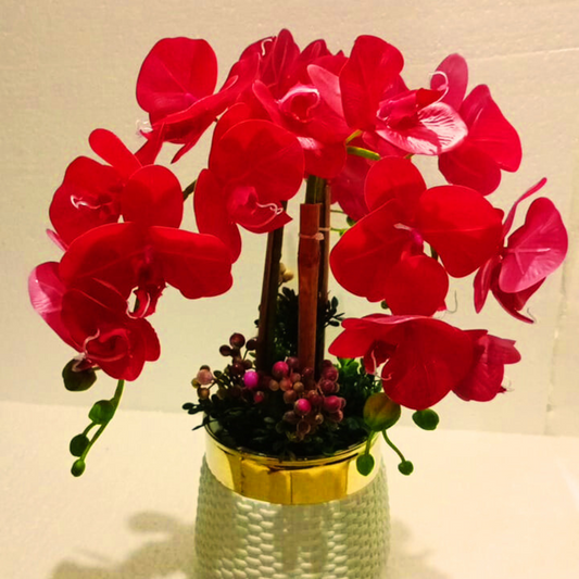 Elegant Red Orchid Arrangement