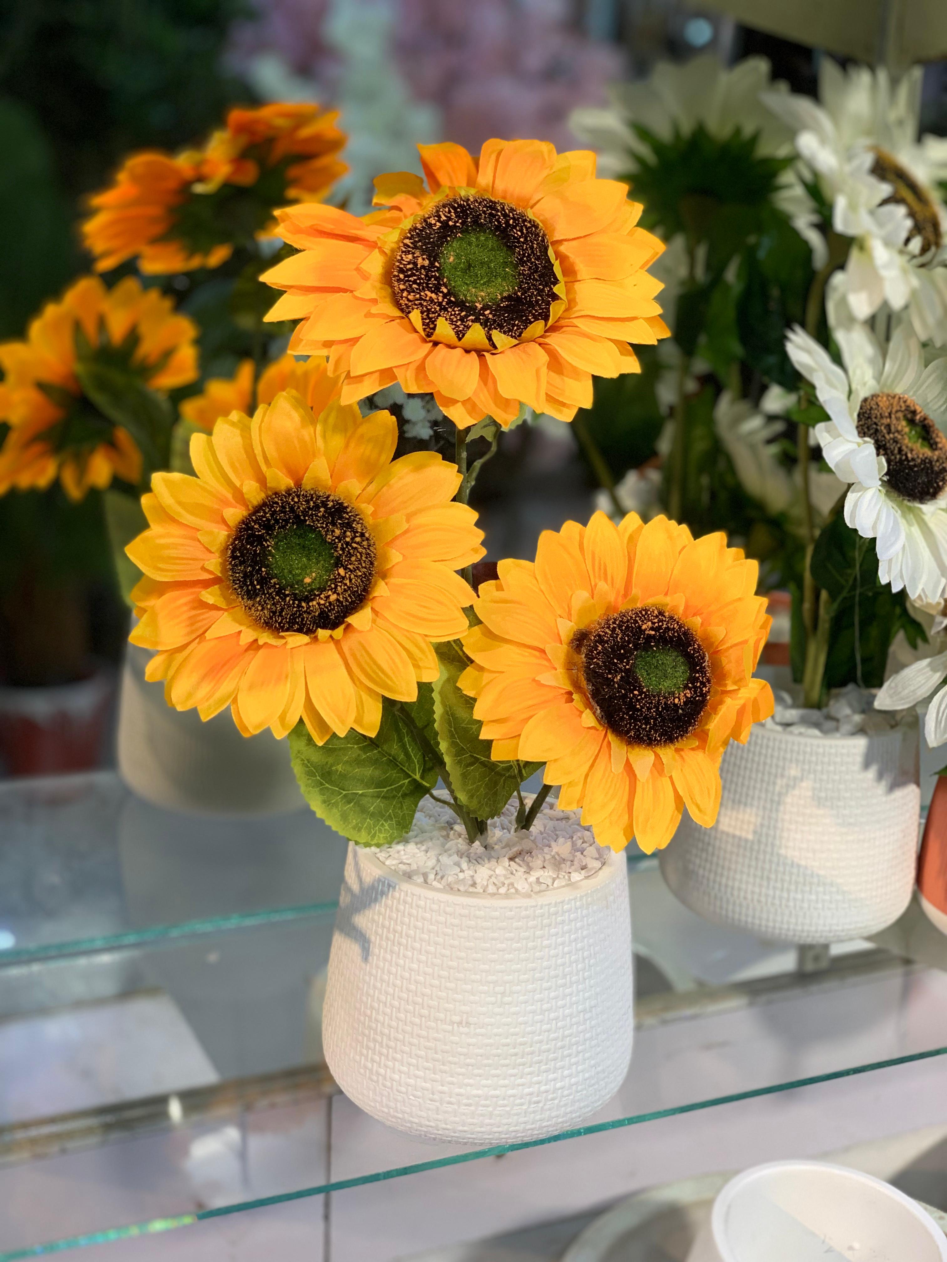 Sunny Day Planter