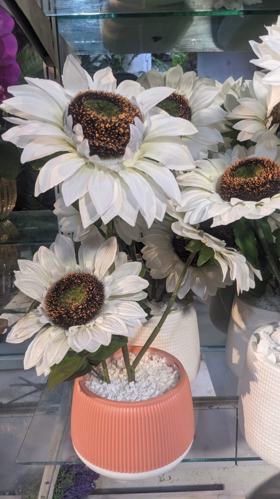Sunny Day Planter