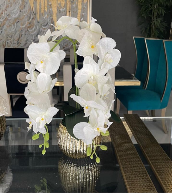 White Orchid in Gold Pot