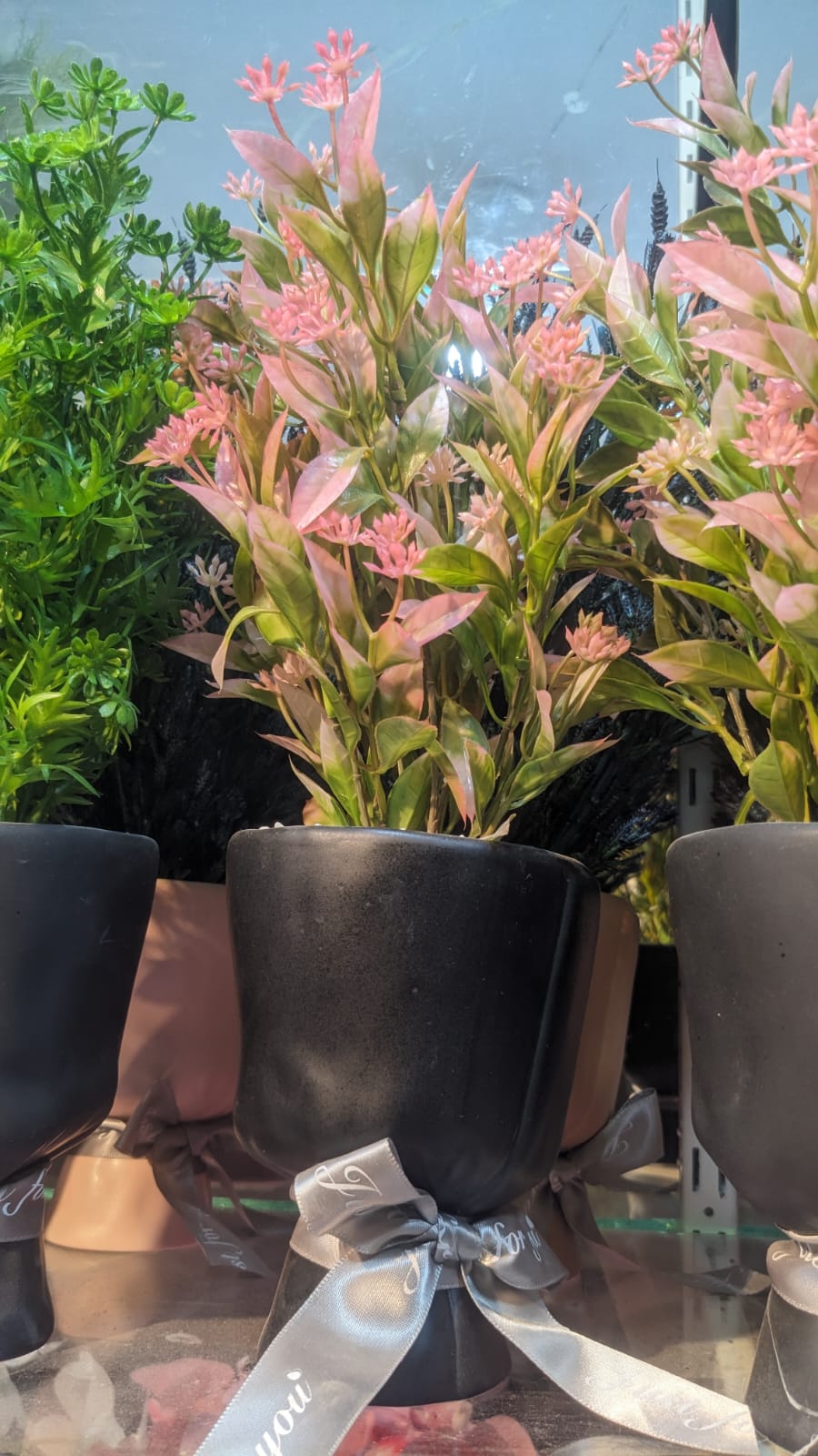 Sleek & Sophisticated - Planters